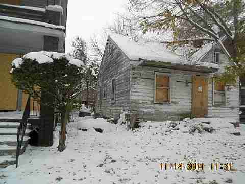 7485 American (3)_m.jpg